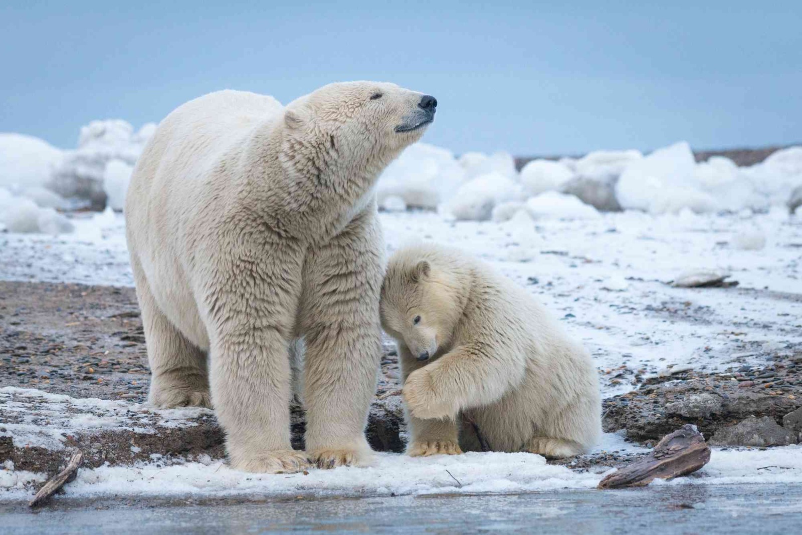 IMG 20240423 WA0077 1 Biden Blocks New Alaska Oil and Gas Leases