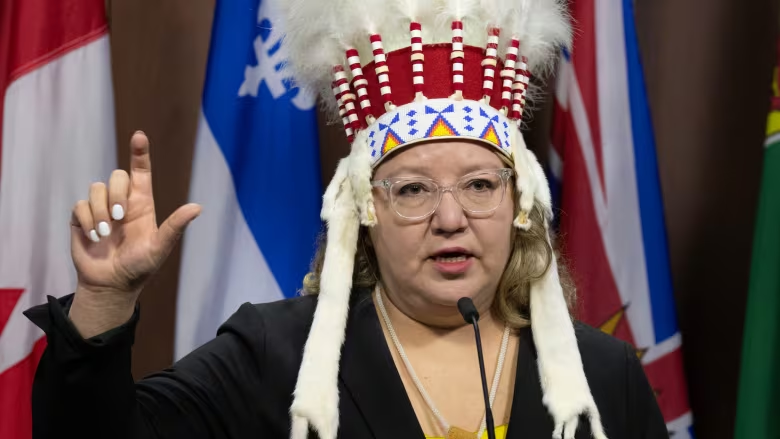 image 14 National Chief Says She Was 'Stunned,' Calls for Change After Headdress Taken From Her on Flight