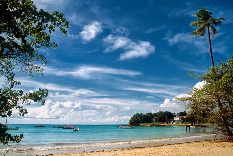 image 17 Tobago Shark Attack: British Man Peter Smith Injured 10 Metres from Shore