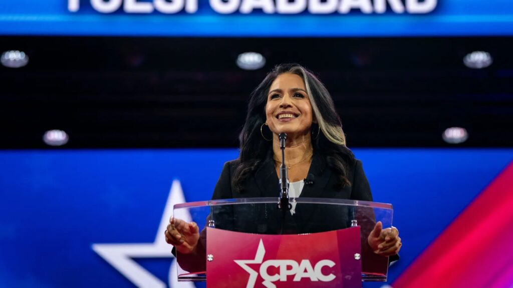 tulsi gabbard Robert F Kennedy Jr Had Asked Tulsi Gabbard to Be His Running Mate, But She Declined