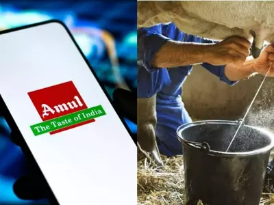 A9987AF5 FF33 48D6 8D5A EF865017DB56 Lok Sabha Election 2024: Amul Announces Unique Reward On Milk For Gujarat Farmers Who Vote