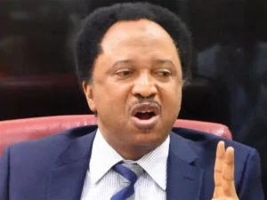 AF682634 EED0 4795 AE25 089521386944 Shehu Sani Urges Tinubu: Reject US, French Military Bases in Nigeria