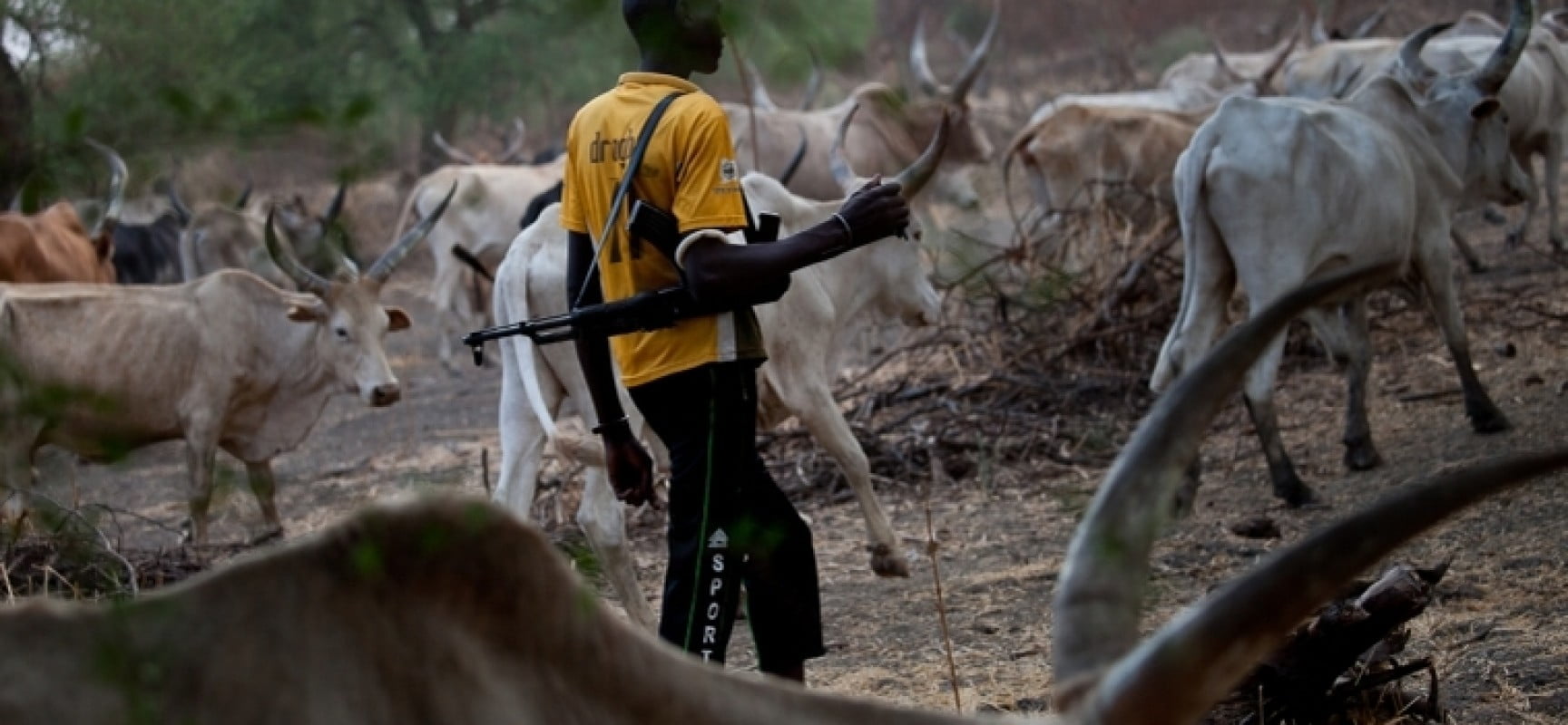 herdsmen BSCVG Apprehends Herdsman With Pistol in Benue