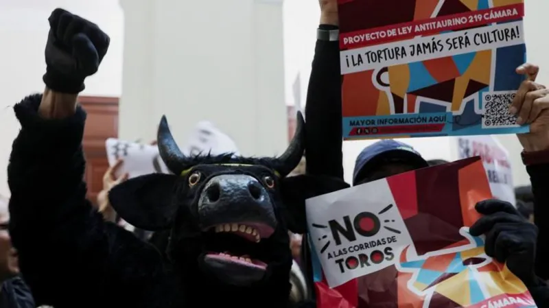 image 223 Colombian Congress votes to ban bullfighting