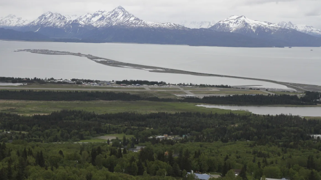 image 96 Moose kills Alaska man attempting to take photos of her newborn calves