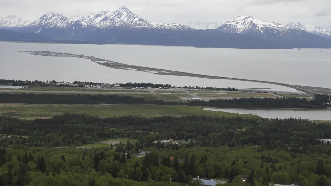 image 96 Moose kills Alaska man attempting to take photos of her newborn calves