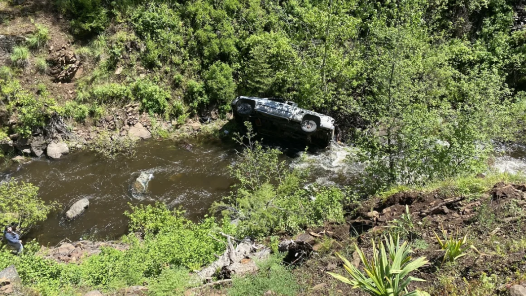 image 120 After he drove off an embankment and became stranded in a ravine, this man’s dog traveled 4 miles to find help