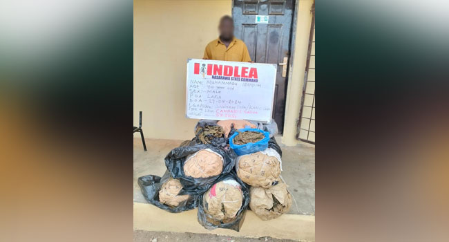 image 5 70-Year-Old Grandpa Arrested As NDLEA Intercepts N2.1bn Codeine, Loud Consignments