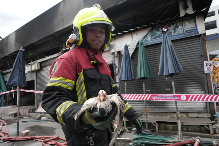 image 97 Fire at Thailand’s famous Chatuchak market kills hundreds of animals