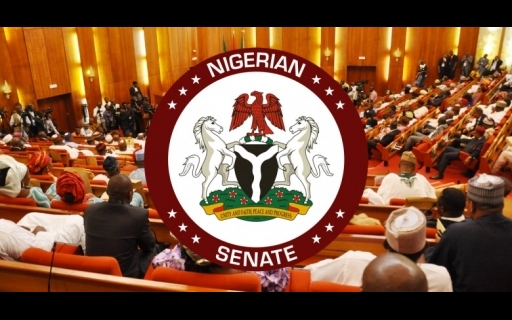 F7A9BE6B DAEE 4A7A A79D D9E245C51A82 Nigerian 109 senators earn N1.4bn annually – RMAFC