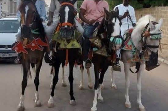 249C813D C3FC 4E16 B9A2 6D2570C9AF26 Fuel Price Surge Forces Borno Residents to Embrace Horses and Bicycles Over Cars