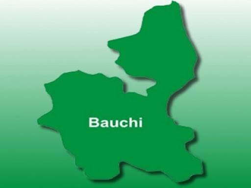 394CDA53 E910 4CD9 B047 2B31F6585955 Bauchi State Commits to Eradicate Illegal Mining Activities