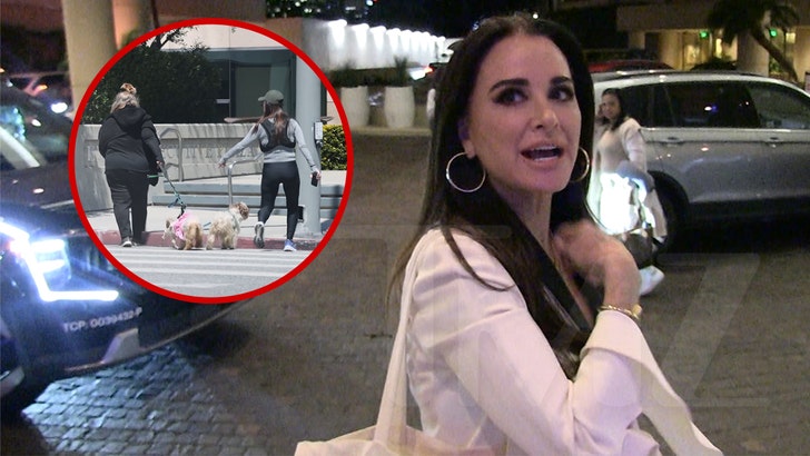 Kyle Richards Claims Woman Was Dragging Dog Before Heated Confrontation, on Video 042925_kyle_richards_kal_v2