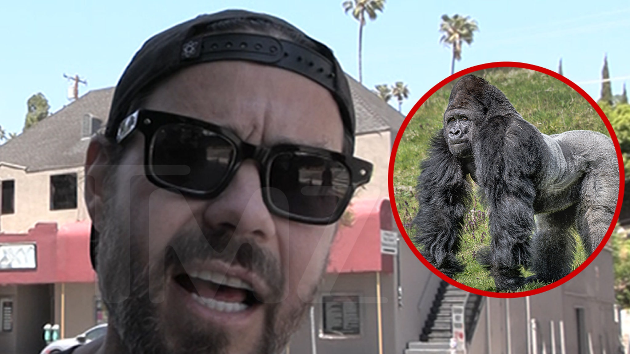 'Jackass' Star Chris Pontius Says a Gorilla Would Decimate 100 Men