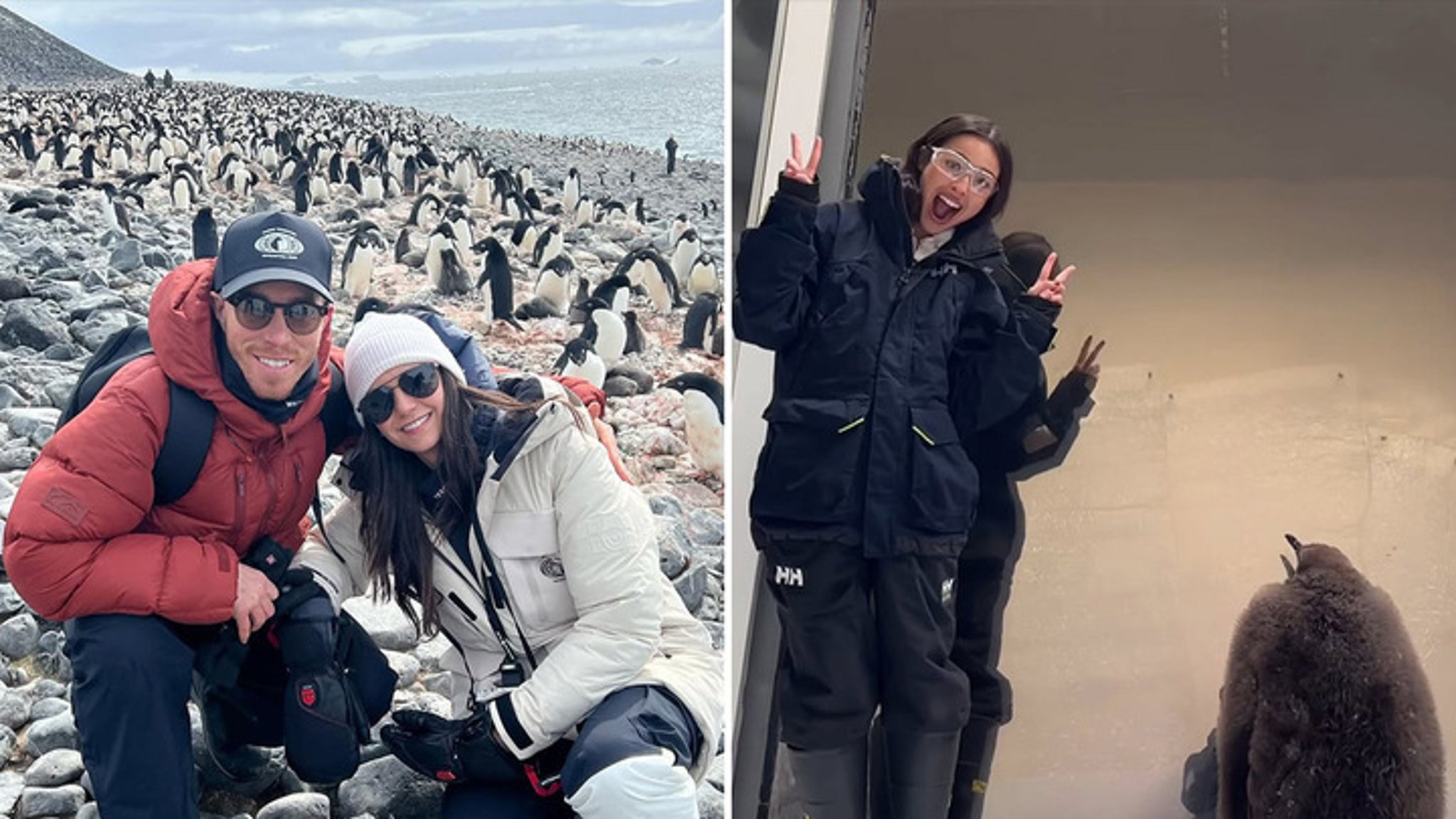 Waddle With These Stars 'N Penguins For World Penguin Day!