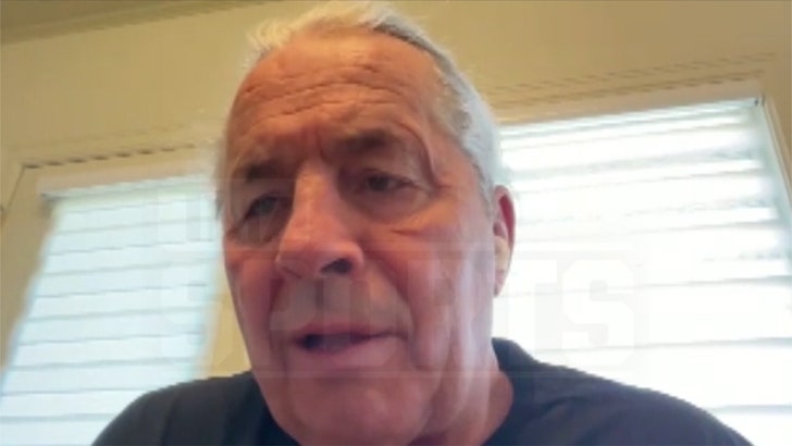WWE Legend Bret Hart Rips Hulk Hogan, Always Been a Liar! 040925_bret_hart-kal