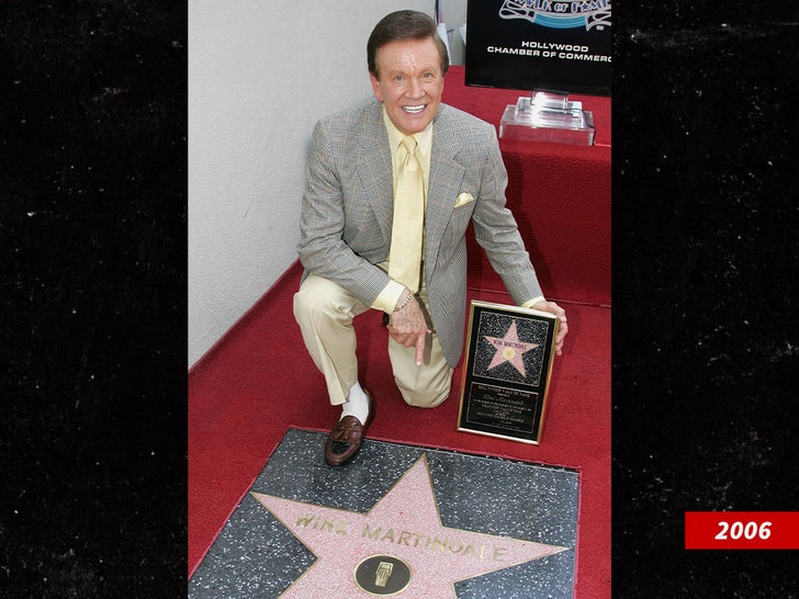 wink martindale star sub getty swipe