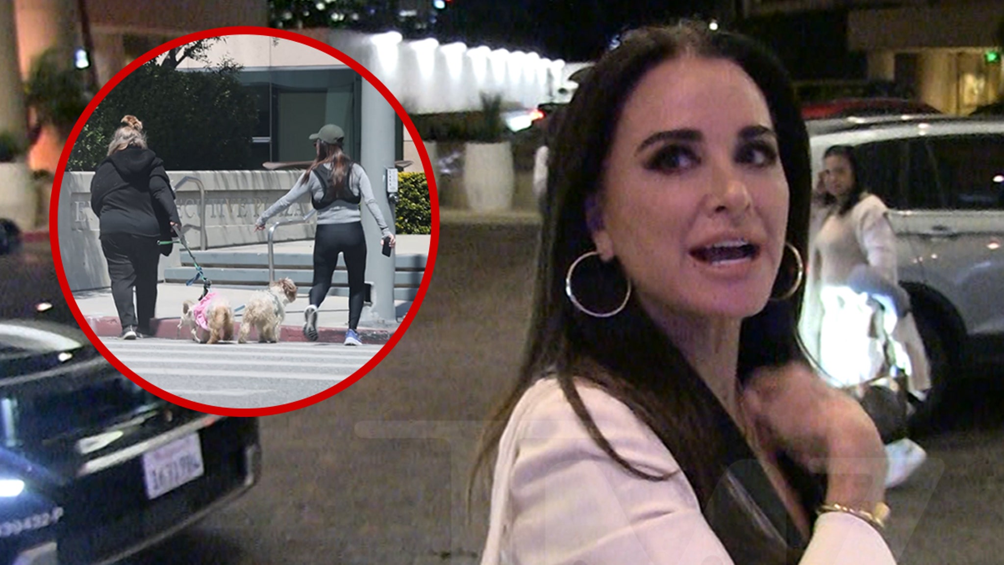 Kyle Richards Claims Woman Was Dragging Dog Before Heated Confrontation, on Video