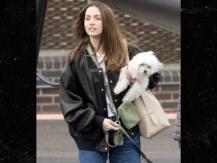 0414-Tom-Cruise-and-Ana-De-Armas-Arrive-On-A-Helicopter-With-Their-Pets-primary-2