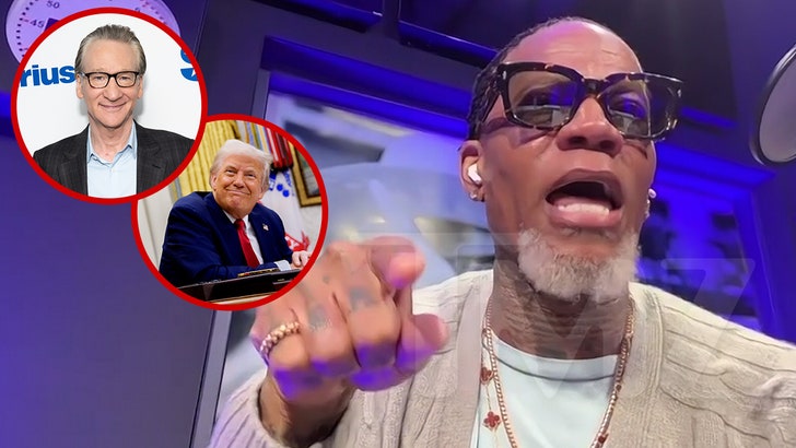 D.L. Hughley Rips Bill Maher for Visiting President Trump at White House 040825_dl_hughley_kal