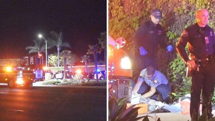 'RHOC' Alum Lydia McLaughlin's Brother Allegedly Grabbed Cop's Taser Before Being Shot Dead 042025_rhoc_brother_kal