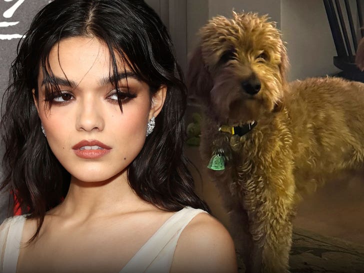 rachel-zegler-dog-getty-ig-1