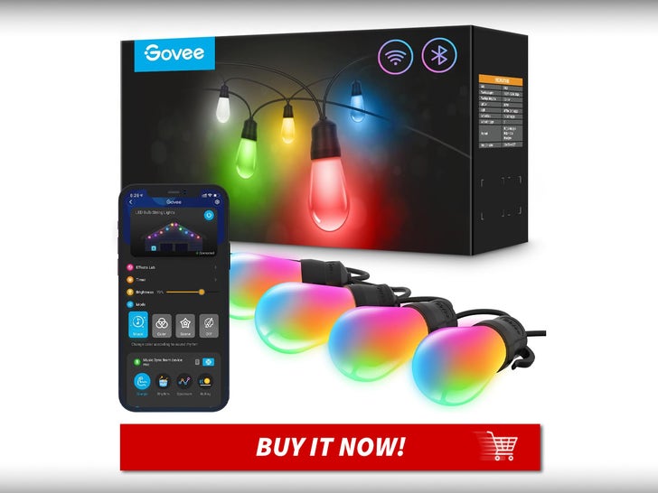 Govee-Smart-Outdoor-String-Lights-MAIN