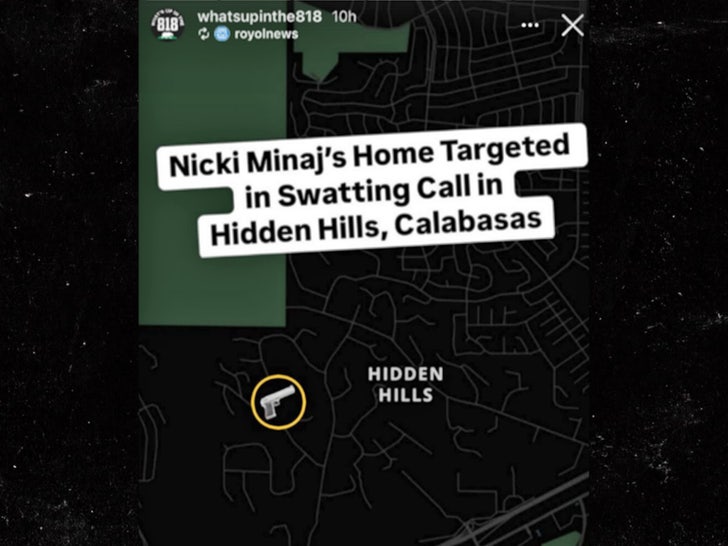 nicki minaj hidden hills swatted instagram sub