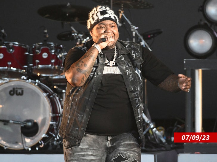 sean kingston performing sub getty swipe