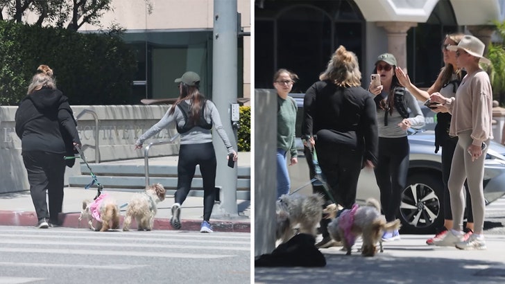 Kyle Richards Claims Woman Was Dragging Dog Before Heated Confrontation, on Video 041025_kyle_richards_teddi_mellencamp_argument_kal