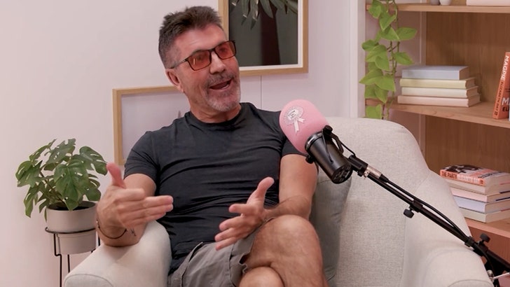 Simon Cowell Says He Turned Down $150K to Judge Couple's Sex Session 050825_simon_cowell_kal