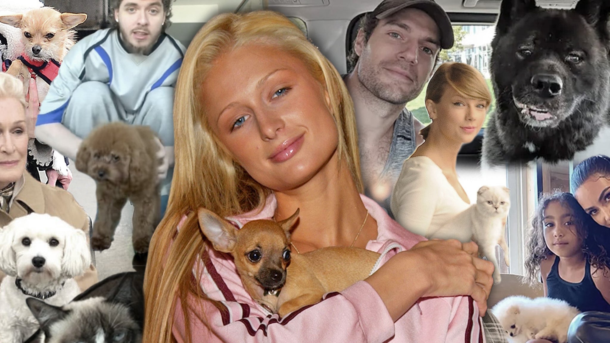 TMZ's Timeline of Wildest Hollywood Pet Moments