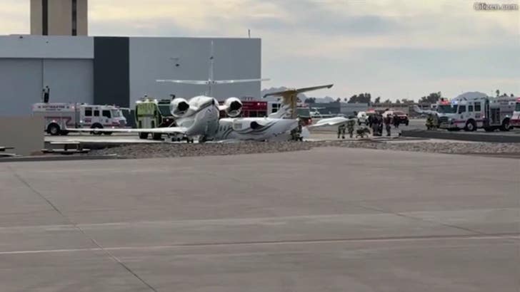Vince Neil Breaks Up with Longtime Girlfriend Over Alleged Affair 021025_runway_crash_1971956