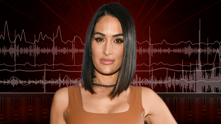 Nikki Bella to Pay Artem Chigvintsev $3,500 Per Month in Child Support nikki-garcia-audio-1