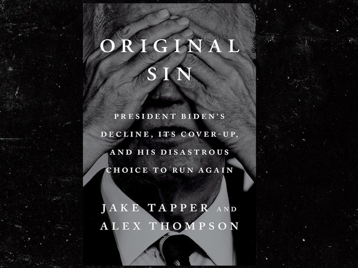 original sin book cover joe biden