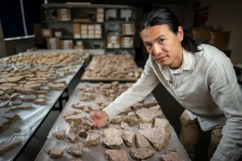 Huge archaeological puzzle reveals Roman London frescoes Tony Jolliffe/BBC News Archaeologist Han Li, wearing a white long sleeved linen shirt and light brown trousers, is leaning over the series of tables which are covered with hundreds of fragments of plaster. He is holding a piece from the dado section in his right hand. The fragments have been grouped according to where Han thinks they may fit in this very complicated puzzle.