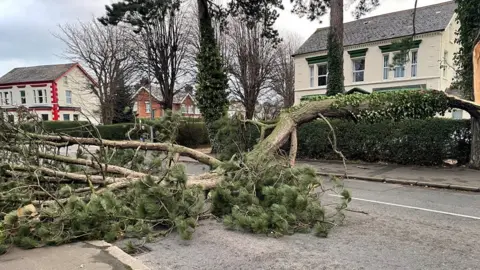 How to stay safe and what to do in a power cut PA Media A large tree blocks a road in east Belfast, houses can be seen on one side of the pavement