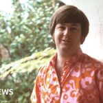 Beach Boys Star Brian Wilson Dead at 82