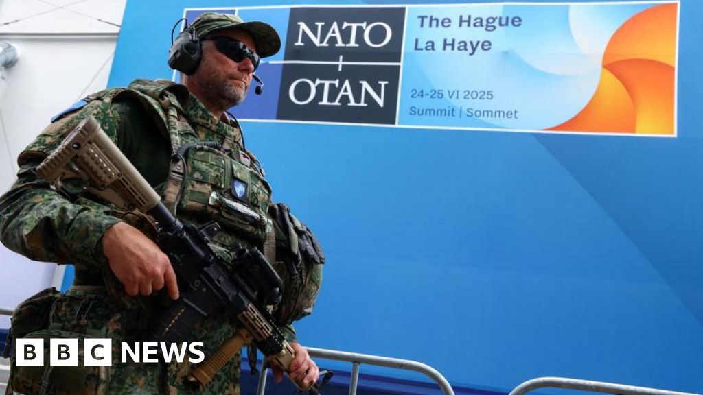 0d362bc0 50fc 11f0 915a f94d3e93c63e Leaders arrive at Hague summit as Nato chief Rutte flatters Trump