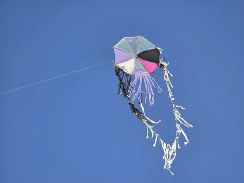 I feel like the life I had before the war was all made up A kite flies against a cloudless sky