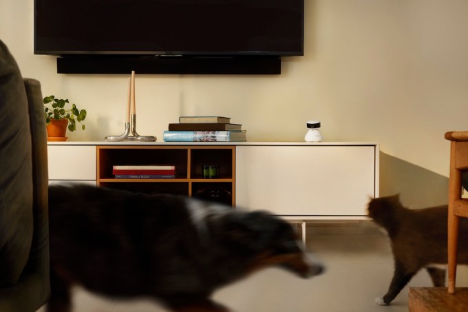 Petlibro’s new smart camera uses AI to describe your pet’s movements, and it's adorable 11 Petlibro Dog Cat Scout Petlibro’s new smart camera uses AI to describe your pet’s movements, and it's adorable