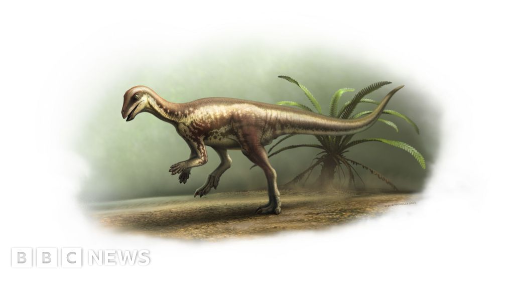 124ac190 5109 11f0 a466 d54f65b60deb Natural History Museum to display rare dog-sized dinosaur