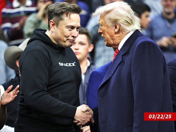 donald trump elon musk sub getty swipe
