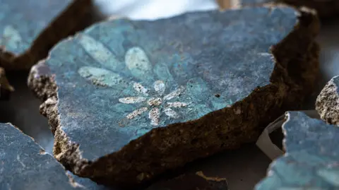 Huge archaeological puzzle reveals Roman London frescoes Tony Jolliffe/BBC News Small piece of wall plaster with a black background, lighter blue painted leaves and a white daisy made of a central white circle and seven petals. A few other fragments of the plaster can also be seen at the edges of the image.
