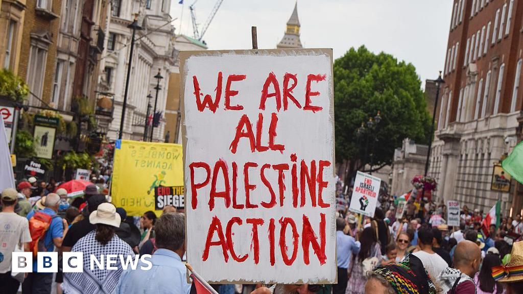 23e9f2c0 4fa8 11f0 8831 bd01b6af6b69 Met Police chief 'shocked' by planned Palestine Action protest in London