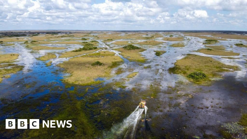 24765130 508d 11f0 838c 2103092c44f3 Florida building migrant detention centre in Everglades