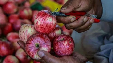 Indian scientists search for the perfect apple Getty Images A man holds five delicious-looking apples in his hand
