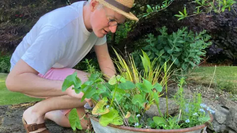 I found a bacteria-eating virus in my loo James Gallagher wearing a white t-shirt and pink shorts peering into a container pond made from an old rusting metal tub, with water plants growing out of them, some with small blue flowers.
