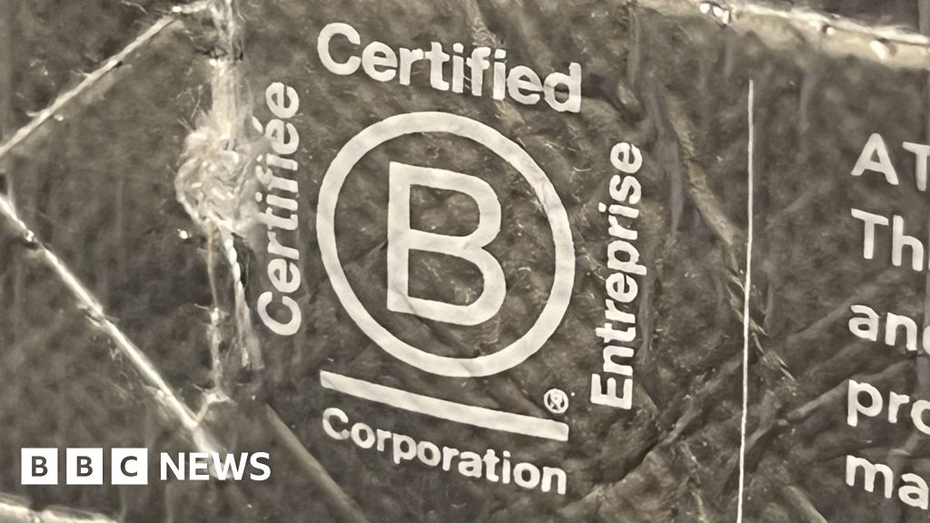 3f2bacb0 50cd 11f0 86d5 3b52b53af158 The global environmental award hit by accusations of greenwashing