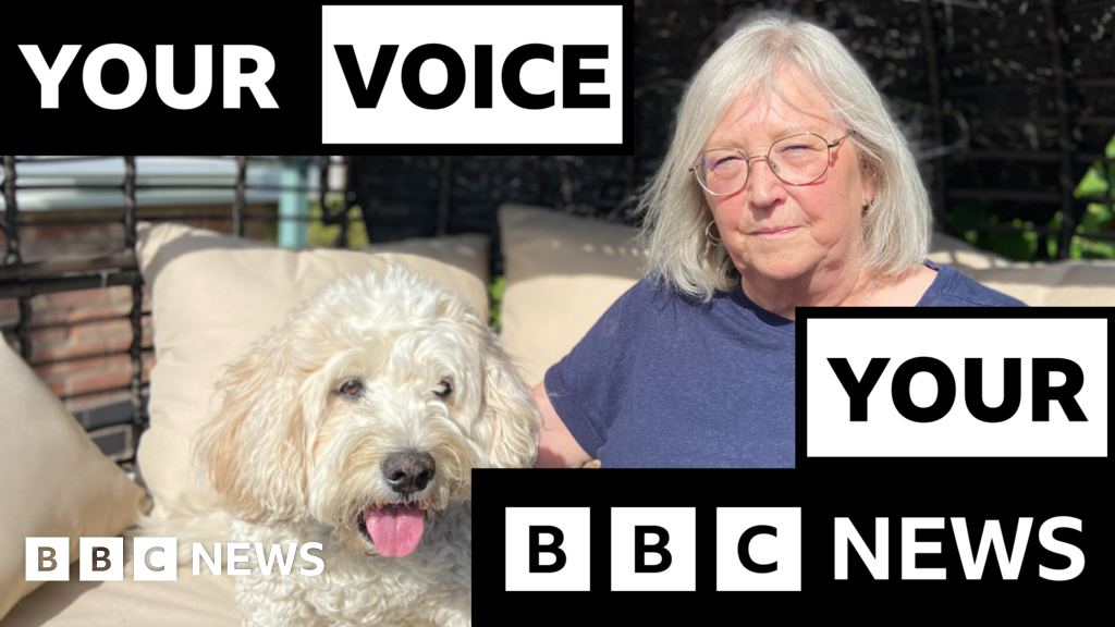 4006bb00 4d0a 11f0 8c47 237c2e4015f5 More pets being put down due to rising costs, BBC told